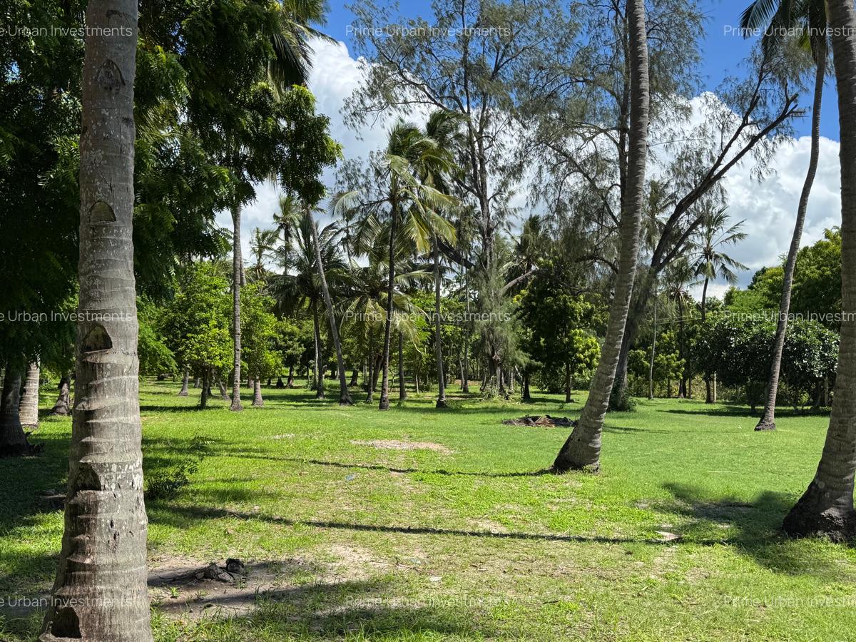 3.9 ac Land at Kikambala Beach - 8
