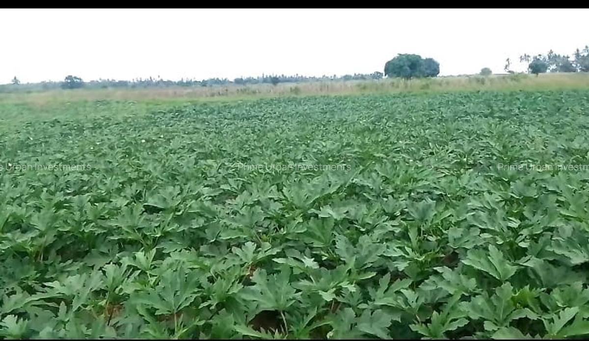 300 ac Land at Matolani - Sabaki River - 4