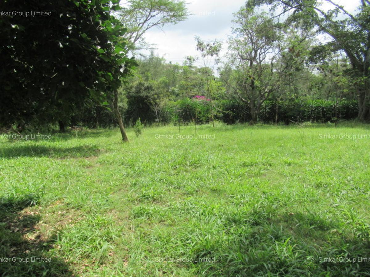 Land at Koitobos Rd - 5