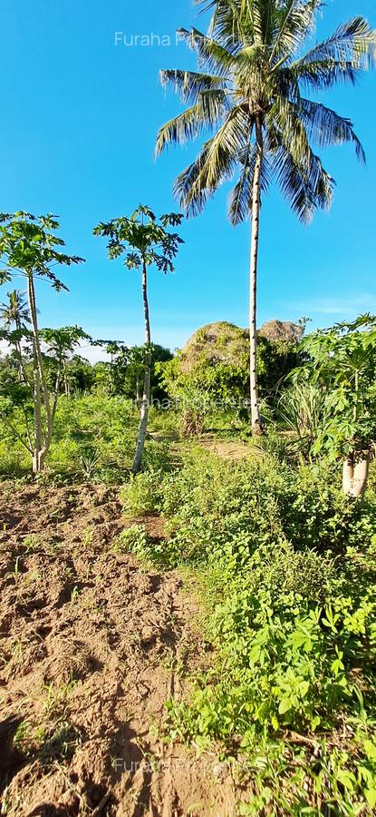 Land at Kwale - 5