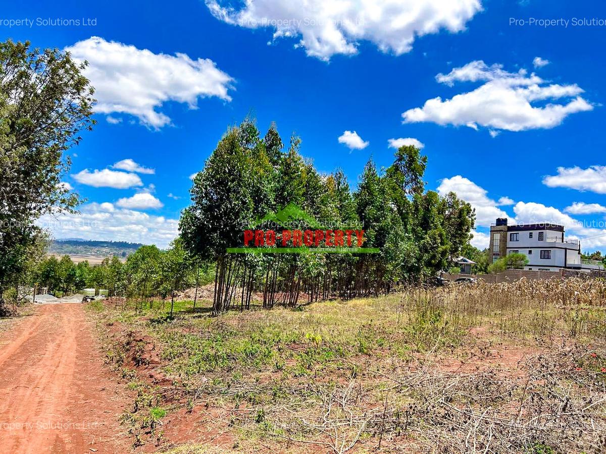Residential Land at Migumoini - 7