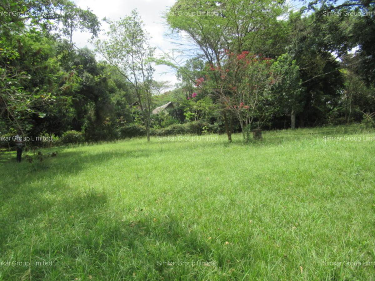 Residential Land at Koitobos Rd - 9