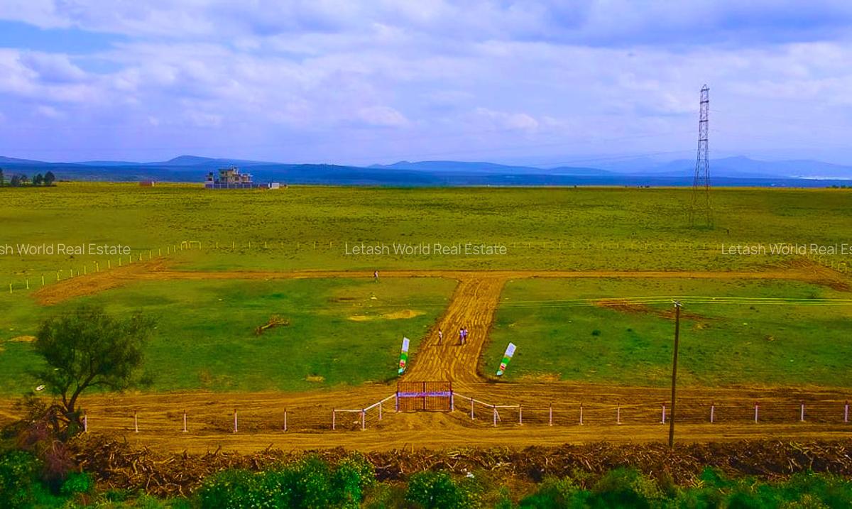 Residential Land in Naivasha - 3