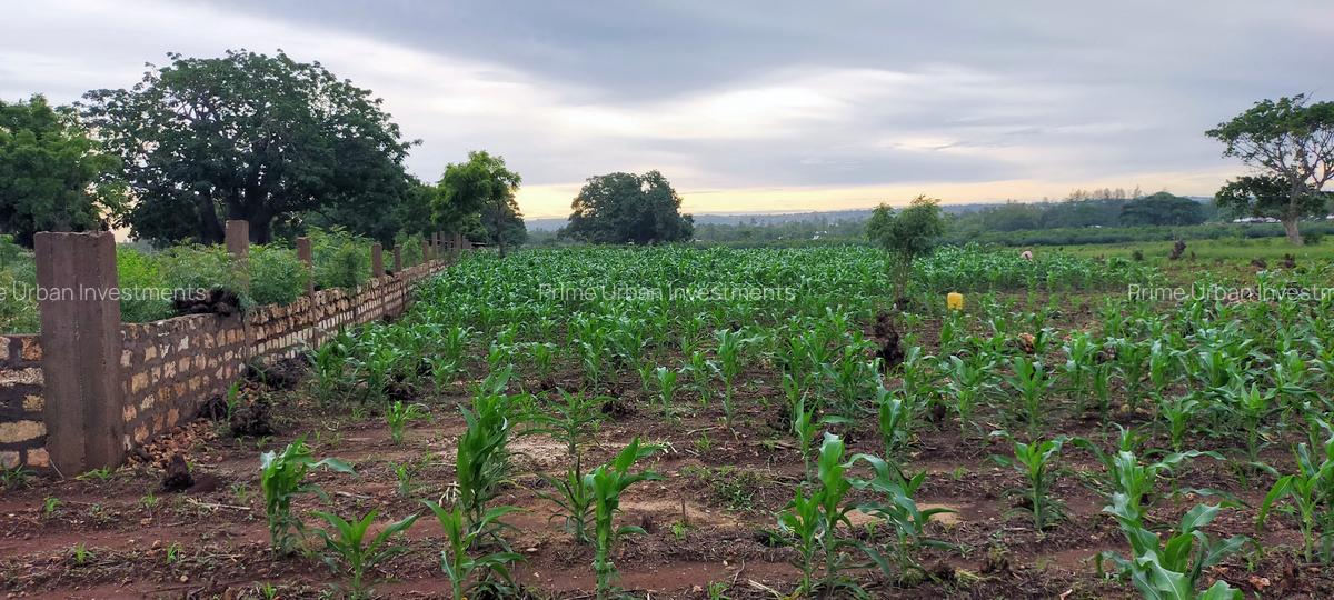 Land at Utalii - Vipingo - 13