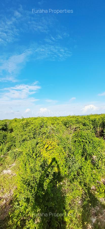 Land at Watamu - 12