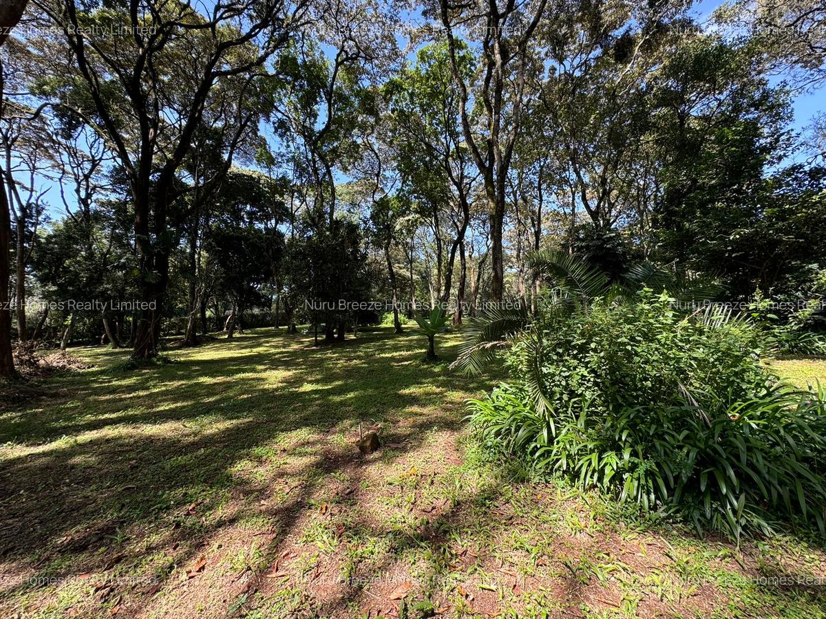 1 ac Land in Karen - 1