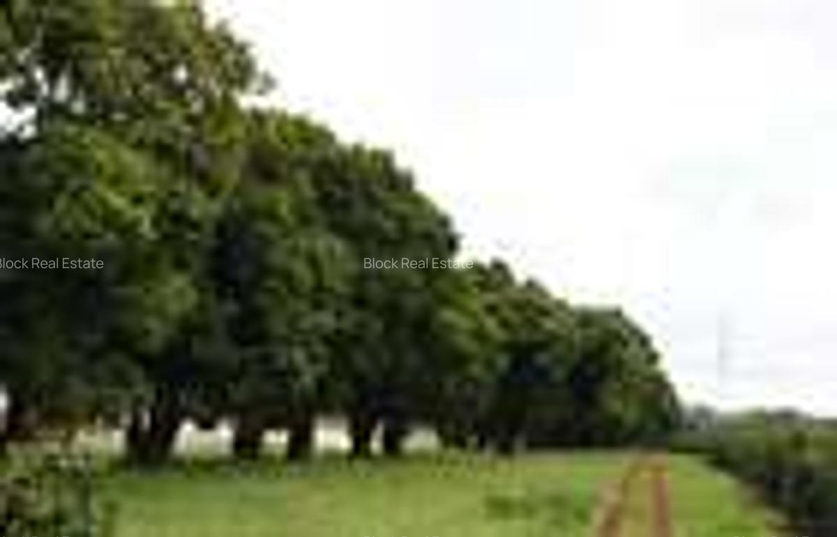 0.125 ac Residential Land in Juja - 4