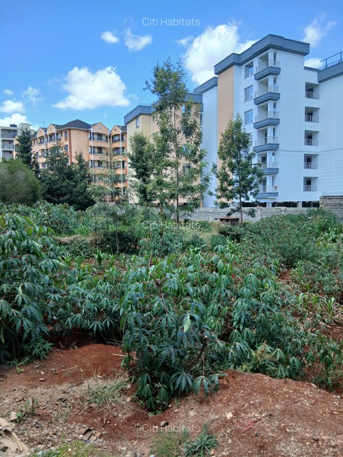 0.25 ac Land in Ruaka - 1