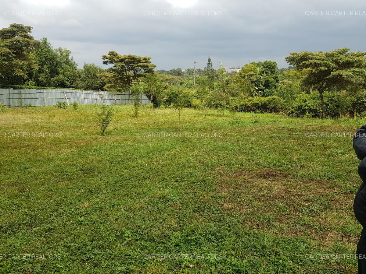 Land in Karen - 1