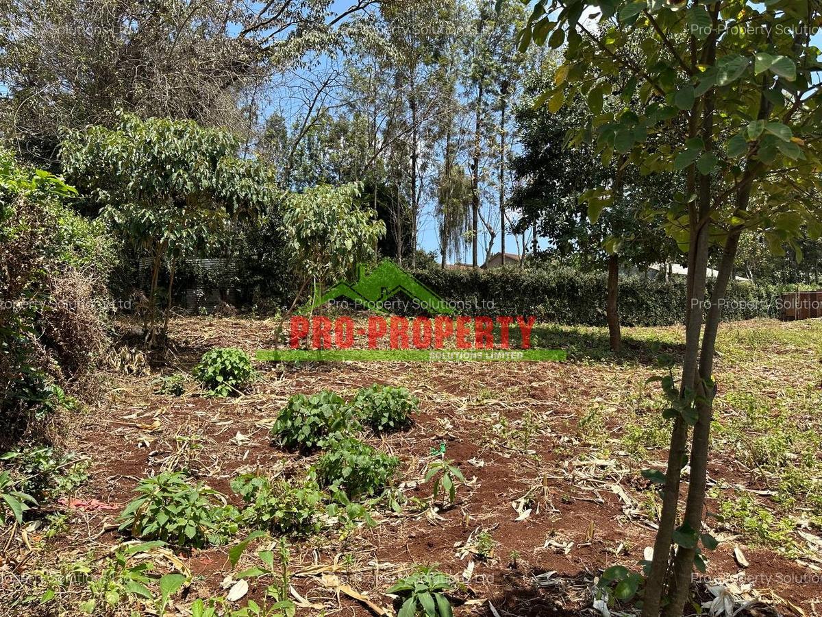 Commercial Land in Kinoo - 11