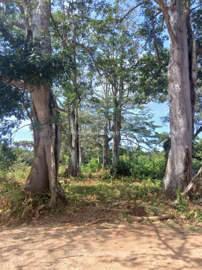 1,000 m² Residential Land at Vipingo - Kuruwitu - 14