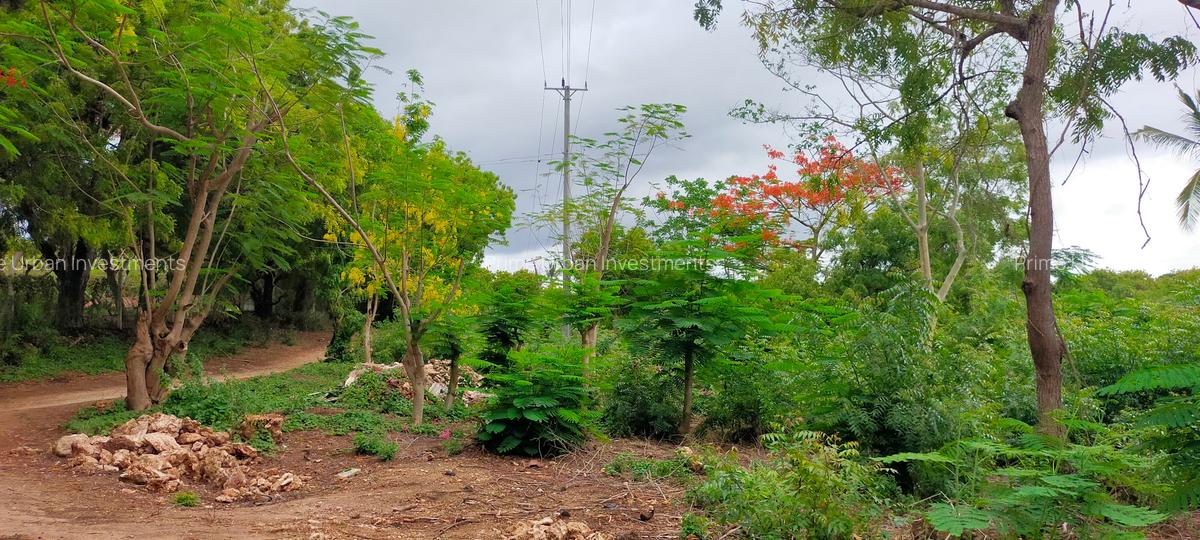 40 ac Land at Vipingo Kuruwitu - 9
