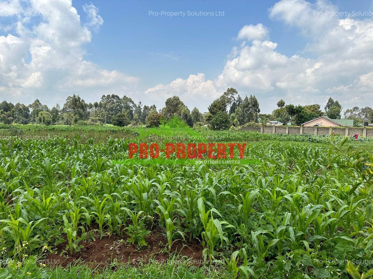 0.4 ha Land at Tilisi - 2