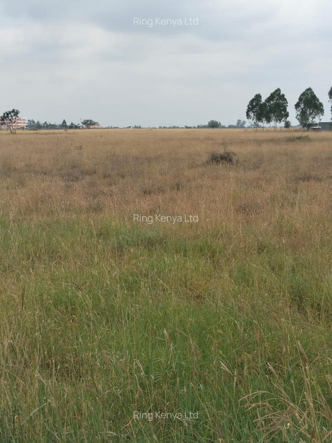 Land in Katani - 1