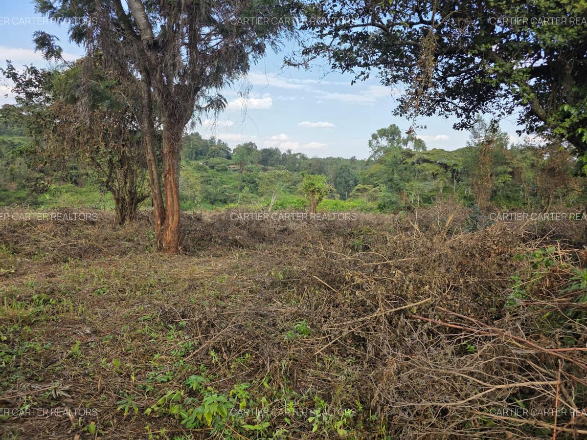 Land in Karen - 1