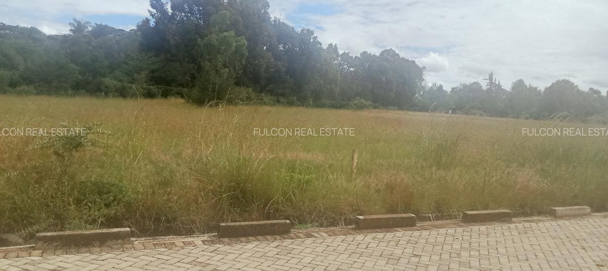 Land in Karen - 1