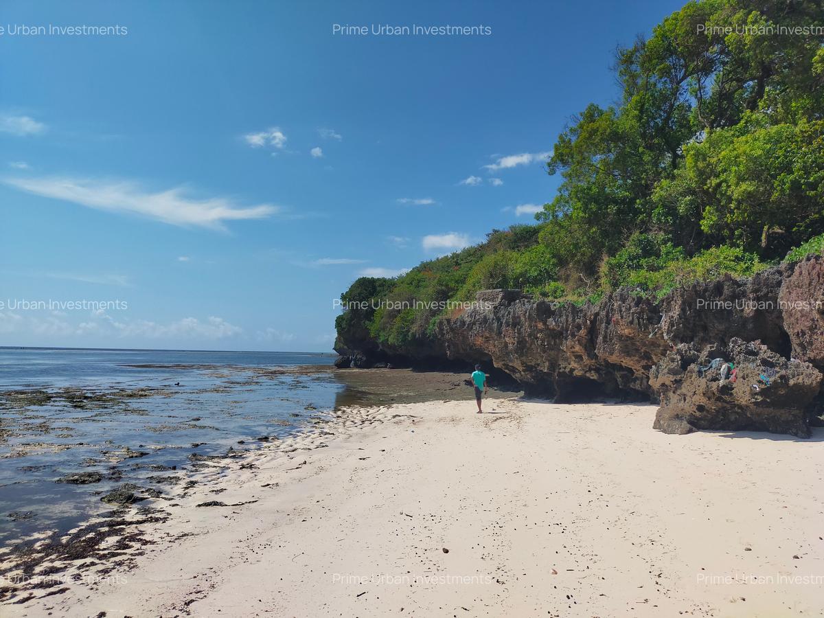 Land at Kuruwitu Beach Vipingo - 8