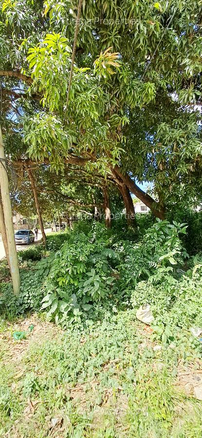 Land at Mtwapa - 17