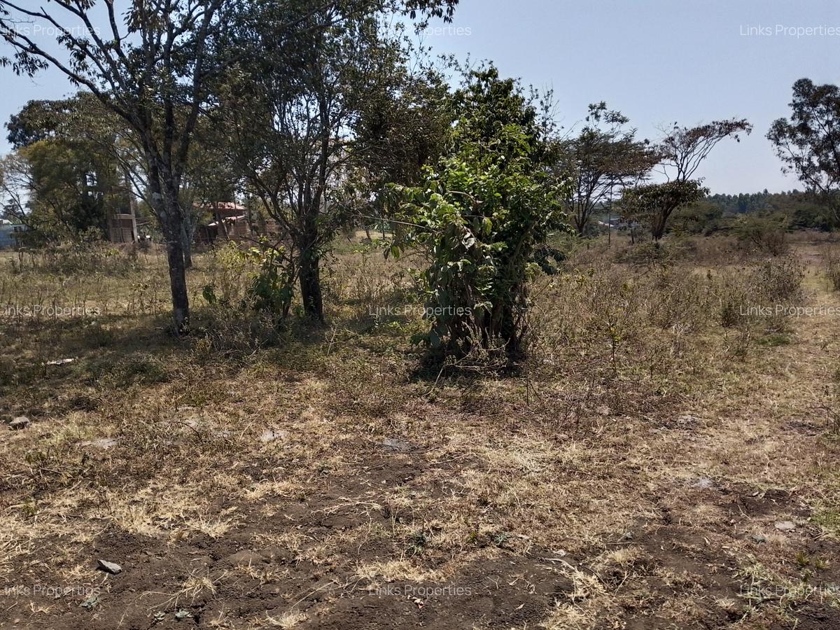 Residential Land at Merisho Road - 1