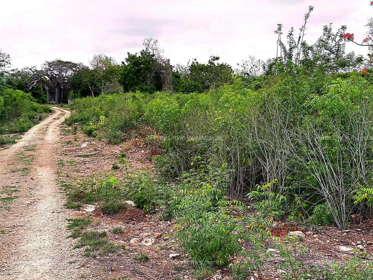 10 ac Land at Kuruwitu Vipingo - 6