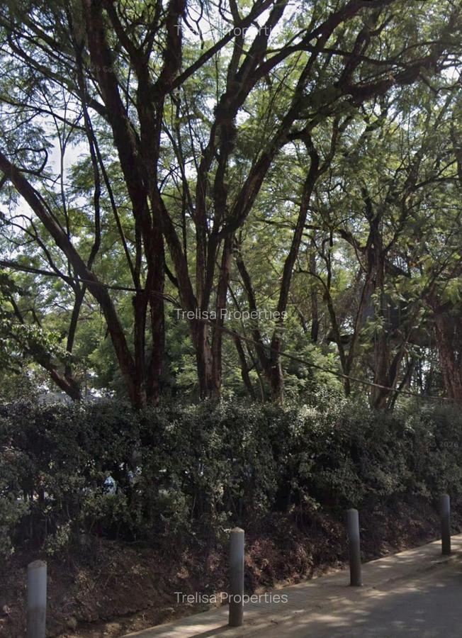 0.75 ac Land at Riara Road - 3