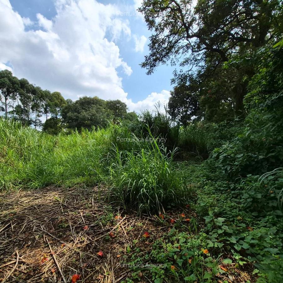 Commercial Land in Kitisuru - 8