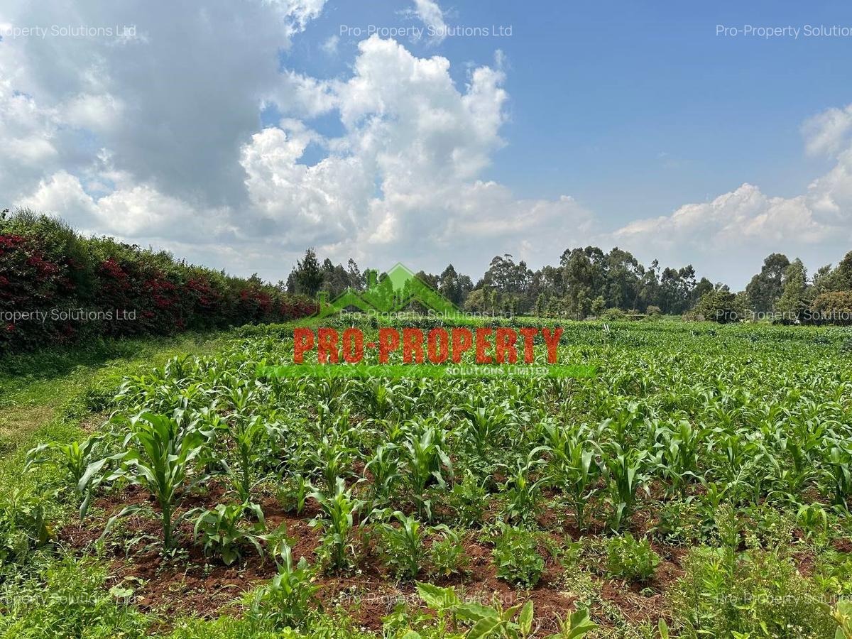 0.4 ha Land at Tilisi - 9