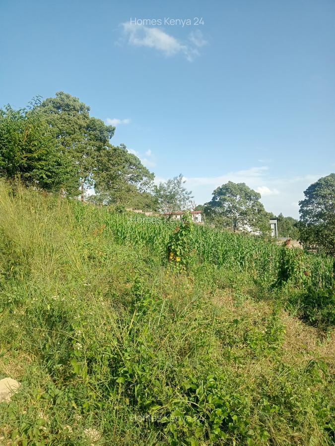 Land in Tigoni - 7