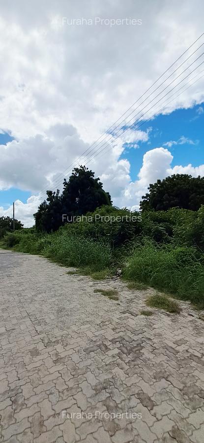 Land at Malindi - 13