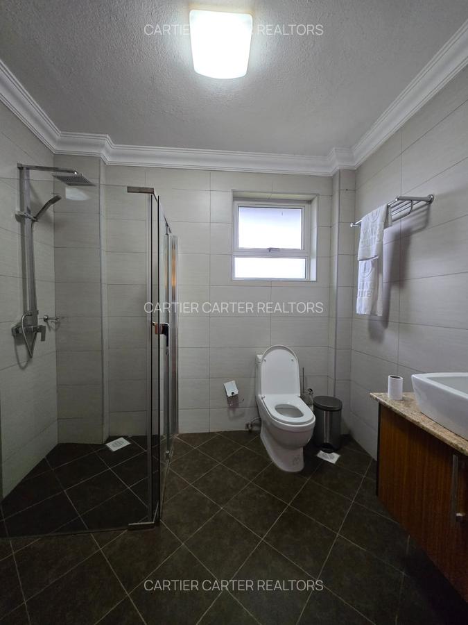Furnished 2 Bed Apartment with En Suite in Kiambu Road - 10