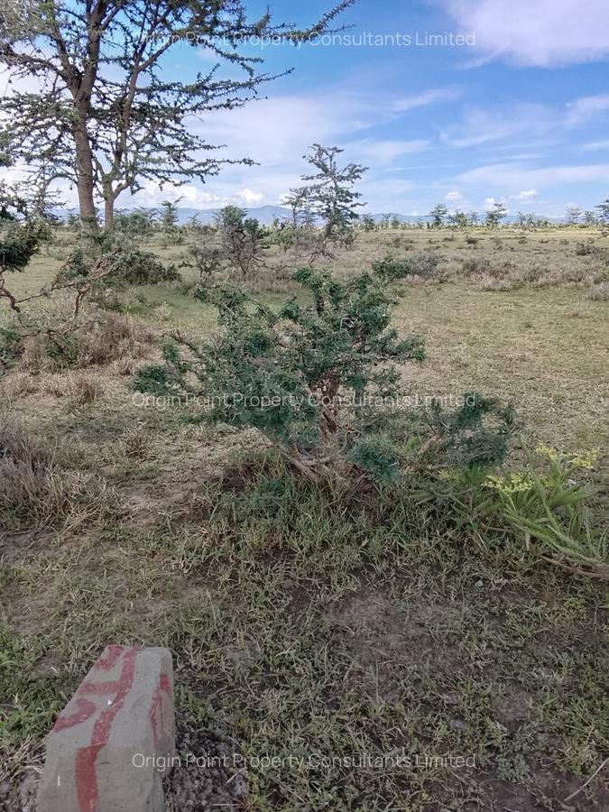 0.115 ac Land in Nanyuki - 3