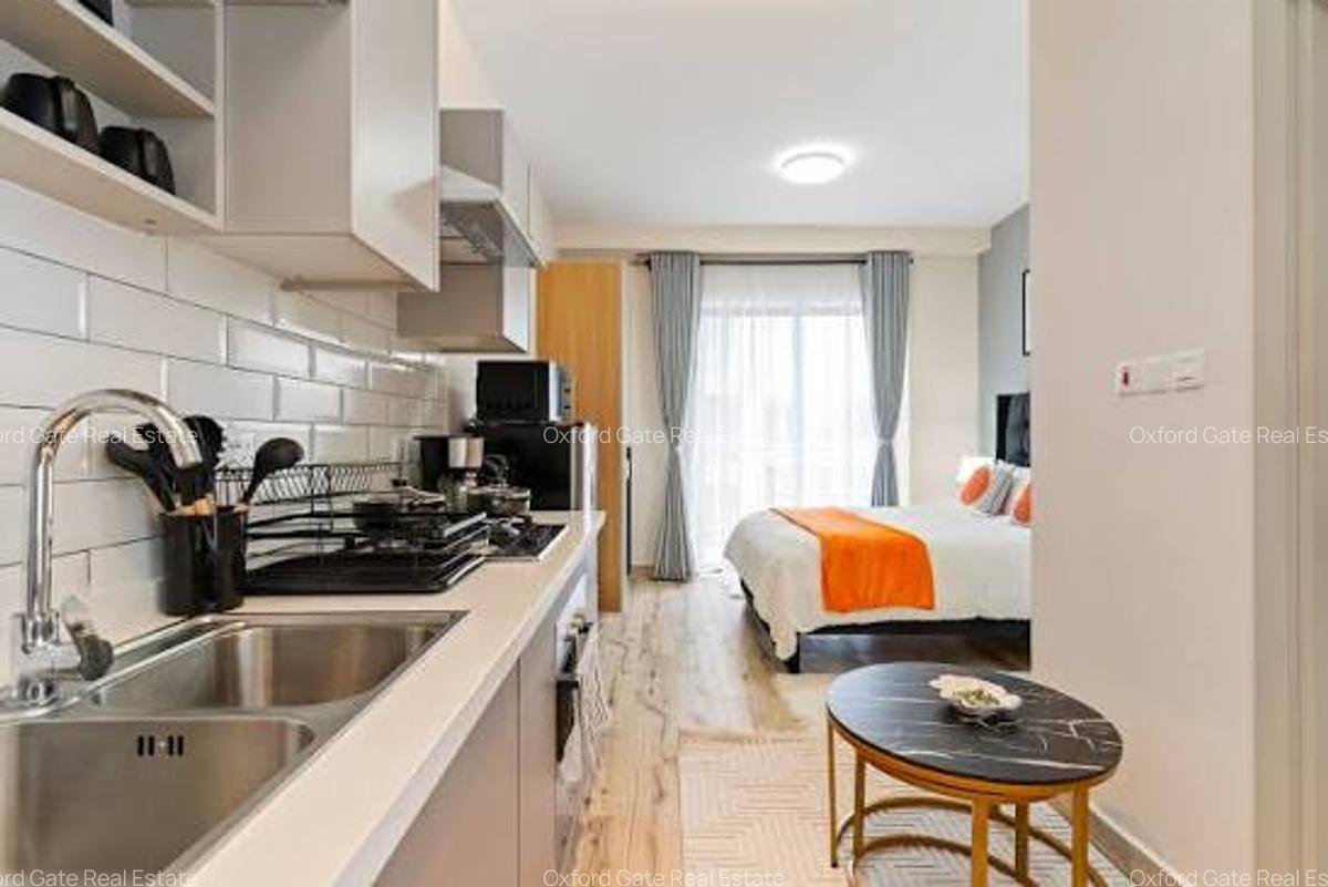 Studio Apartment with En Suite at Elgeyo Marakwet Road - 11