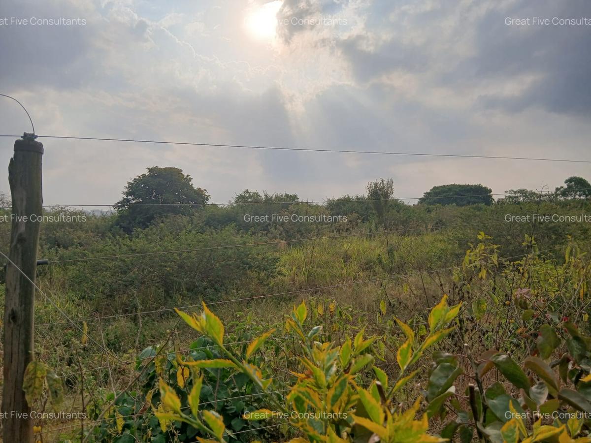 Land in Runda - 10