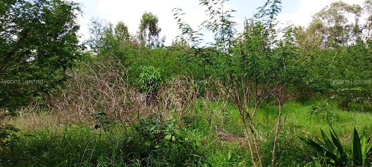 0.5 ac Residential Land in Thome - 4