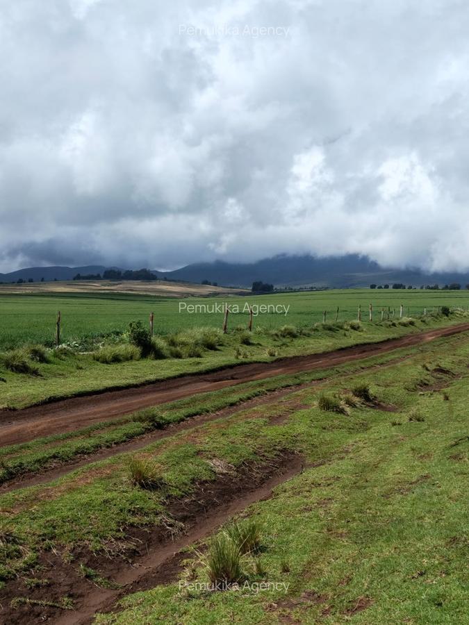 314 ac Land at Timau - 15