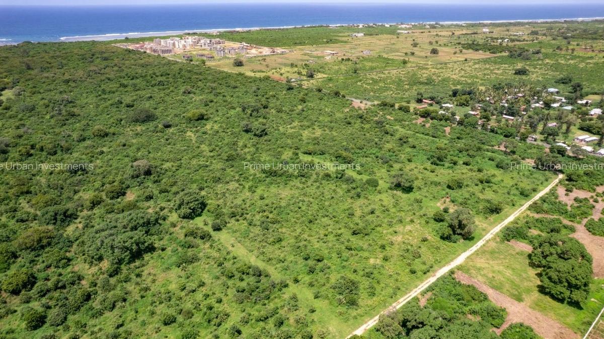 Land at Kuruwitu Beach Vipingo - 10