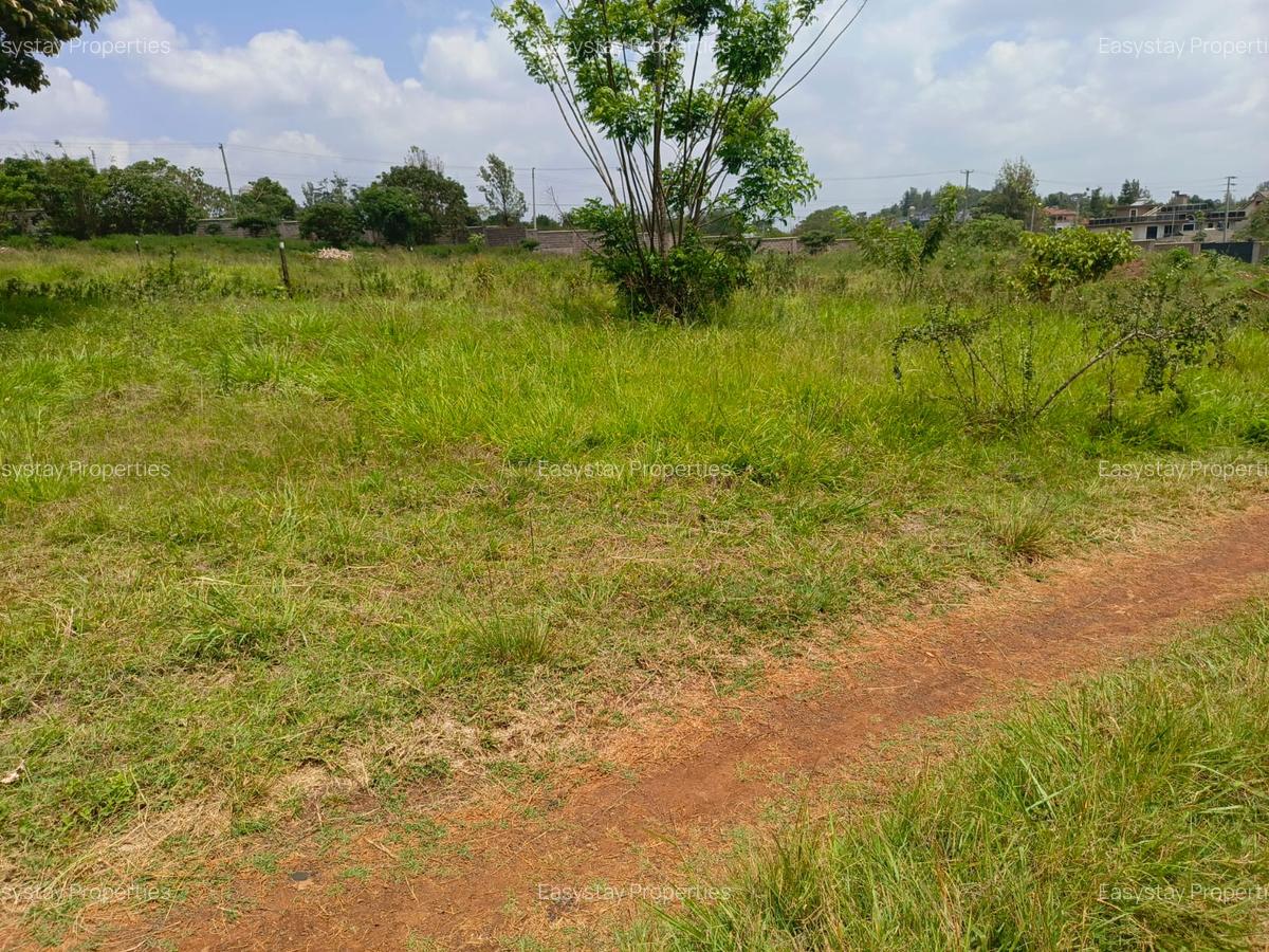 Land in Muthaiga - 6