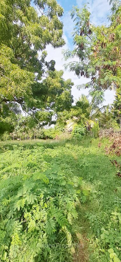 Land at Diani Beach Road - 15