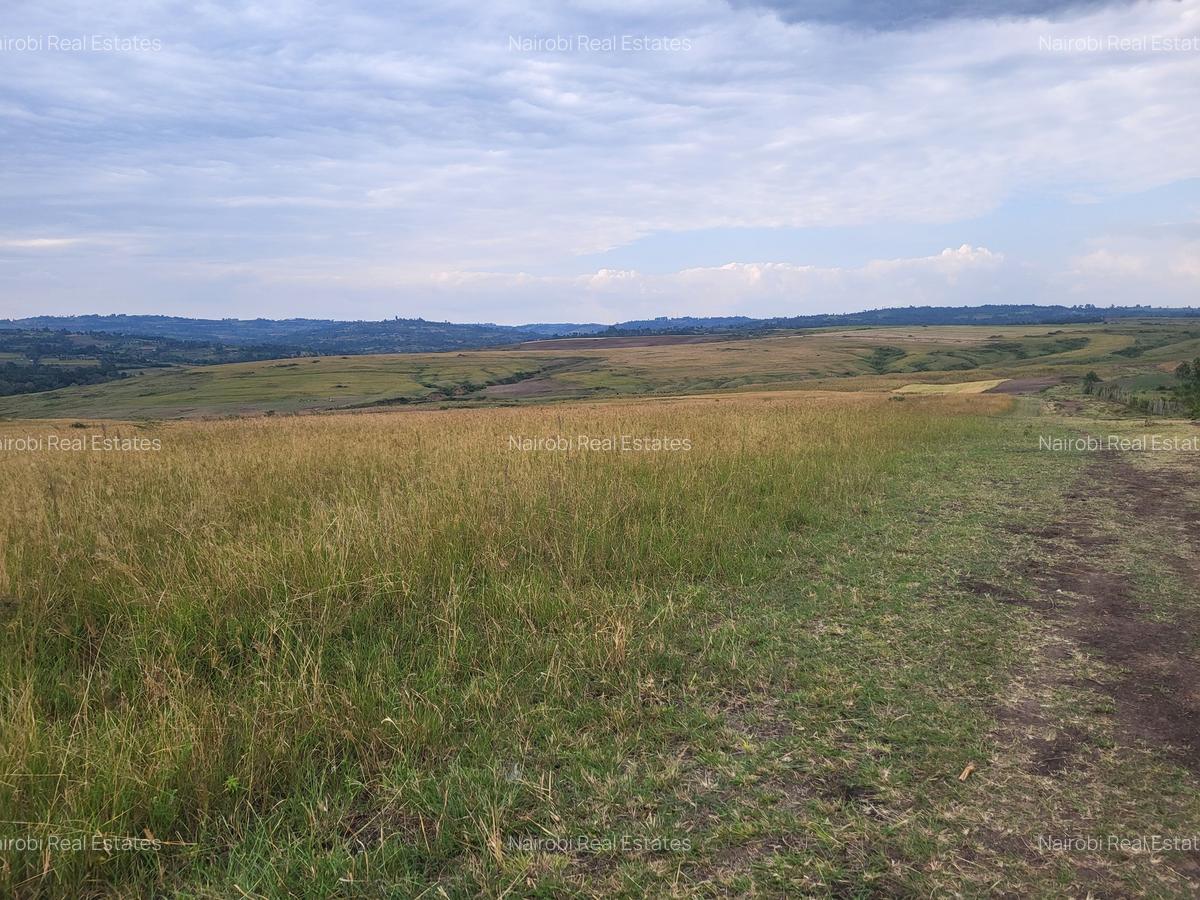 Land in Narok - 1