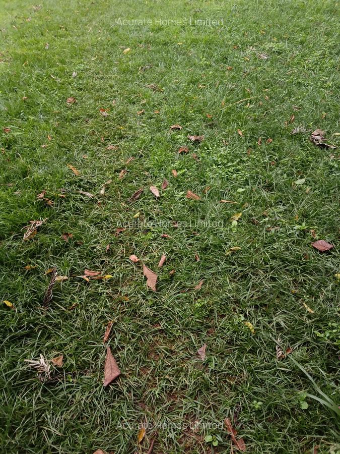 Residential Land at Thika Superhighway - 2