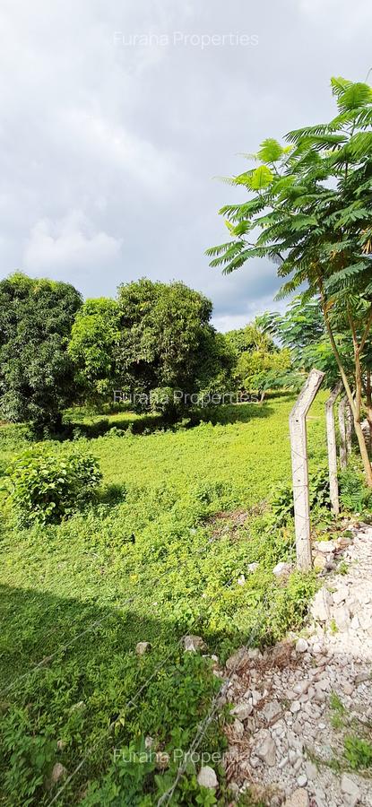 Land at Mtwapa - 5