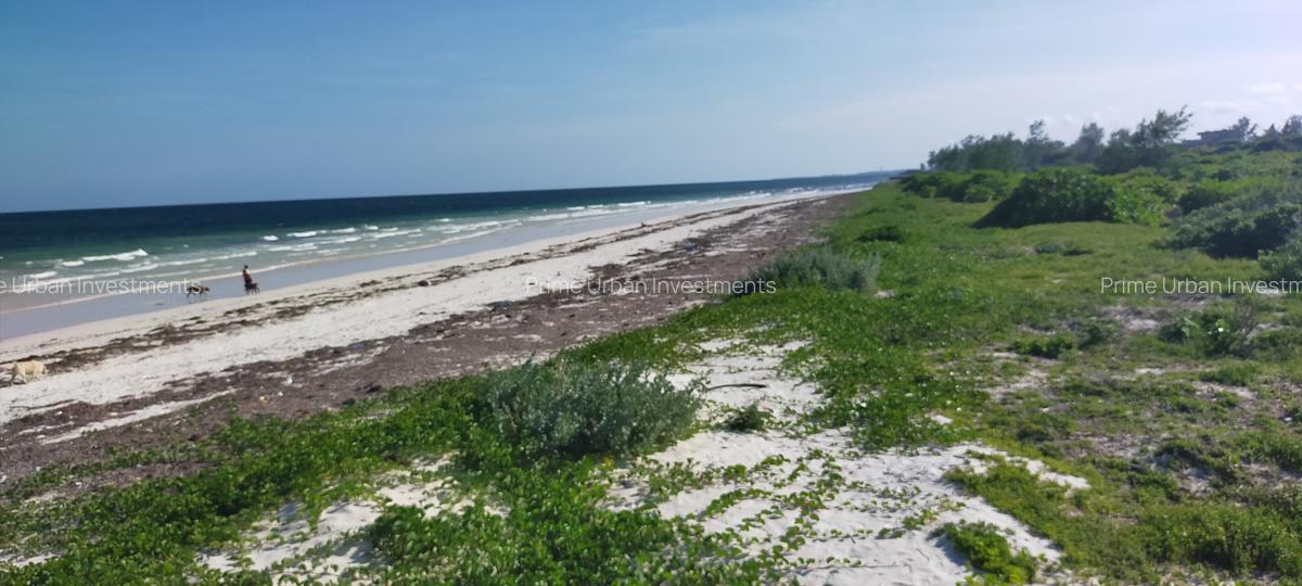 Land in Kilifi - 18