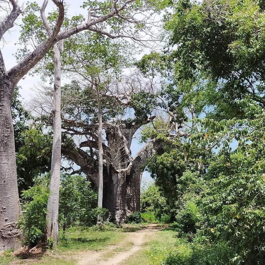 Land at Kuruwitu Beach Vipingo - 8