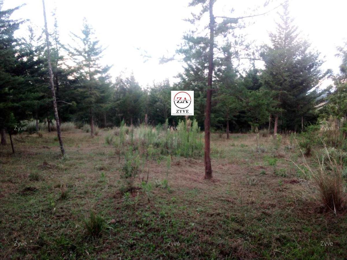 6 ac Land at Mukima Ridge - 3
