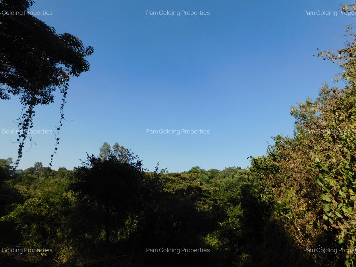 Residential Land at Karen - 4