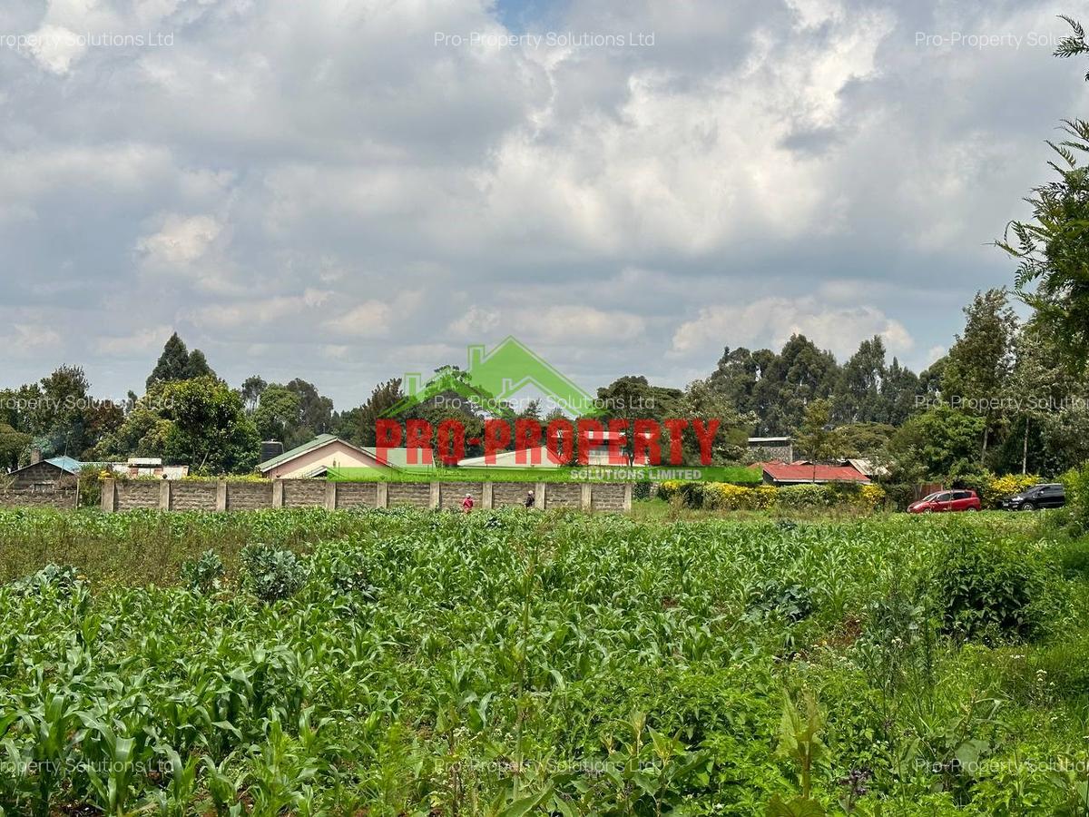 0.4 ha Land at Tilisi - 1