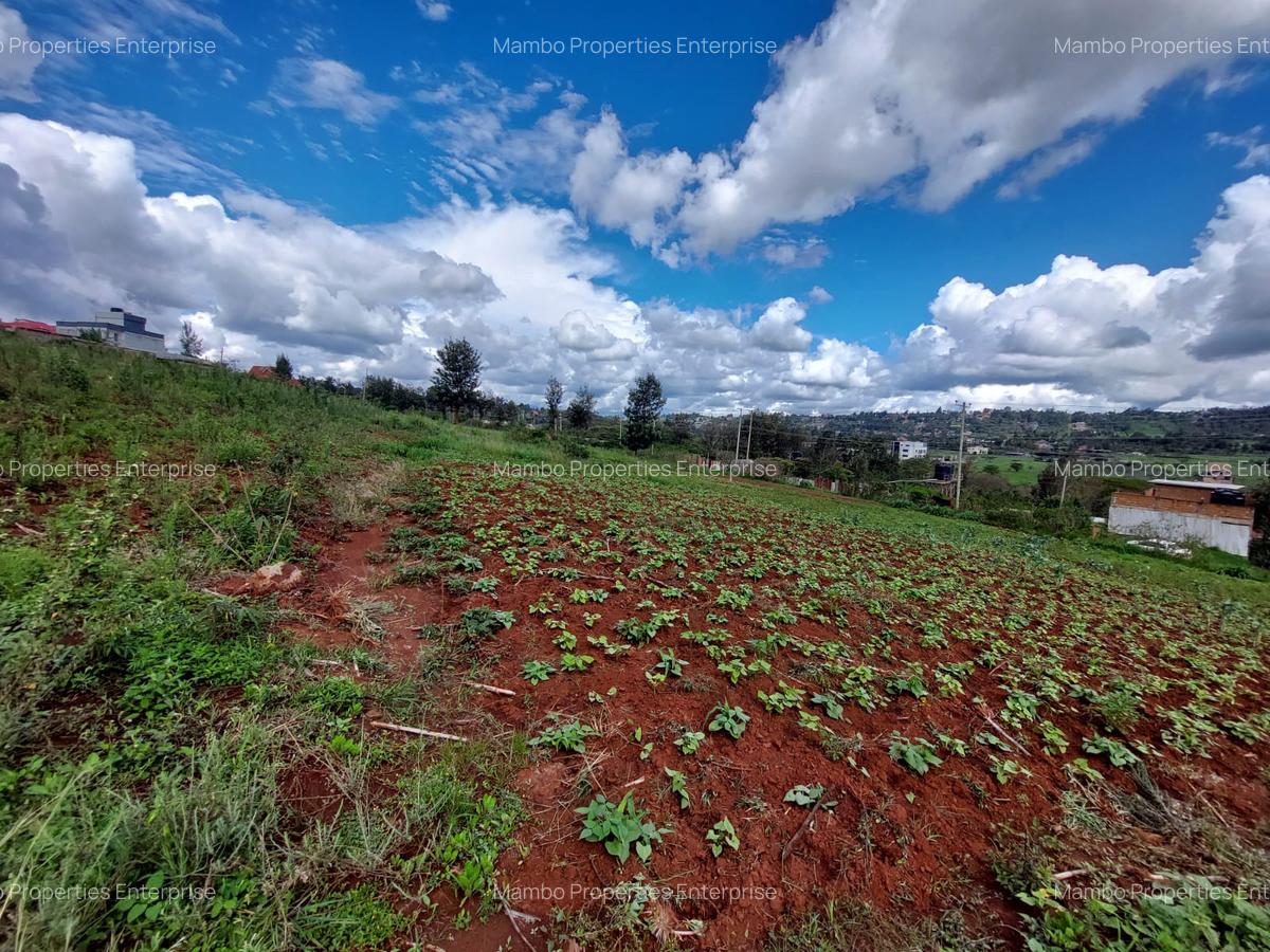 Land at Kibiko - 10