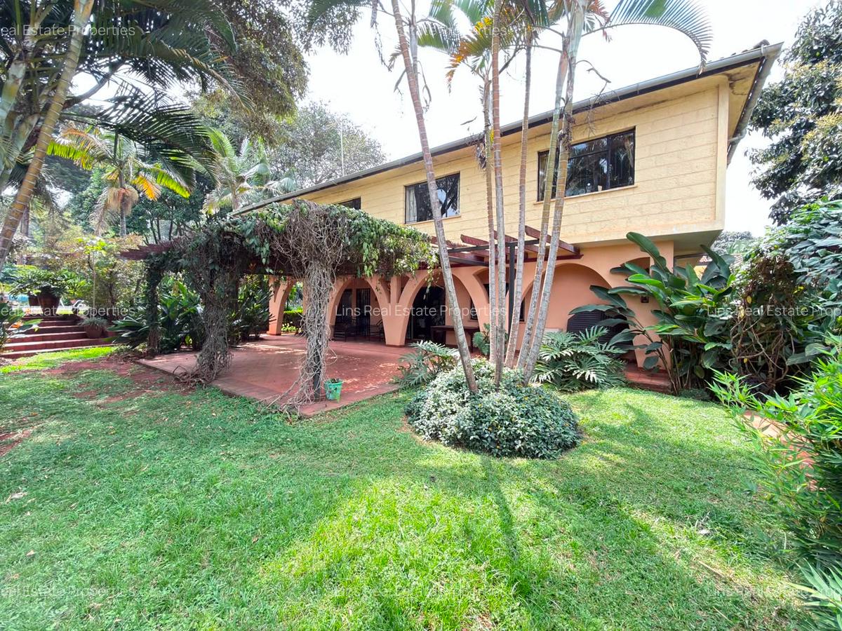 Commercial Property with Parking in Lavington - 2