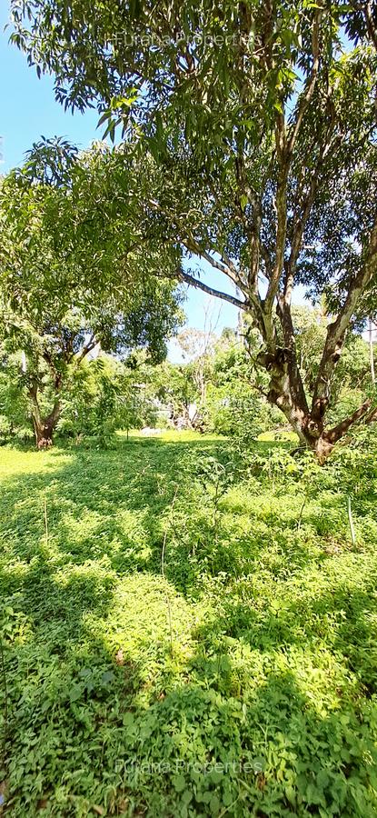 Land at Mtwapa - 14
