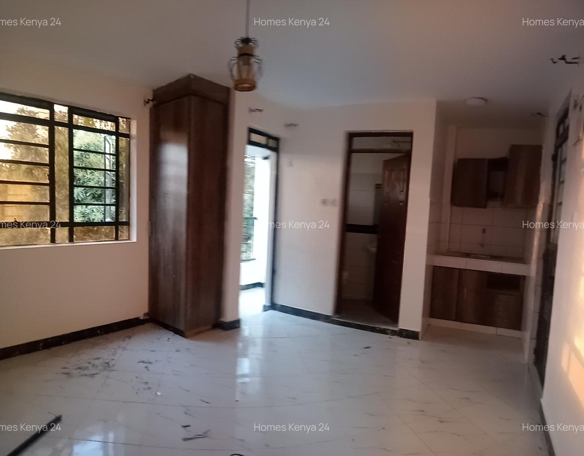 Studio Apartment in Ruaka - 4